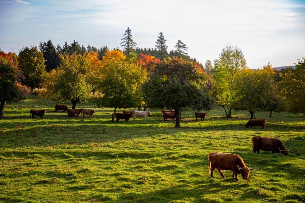 Landhaus Im Waldviertel Zwettl Buitenkant foto